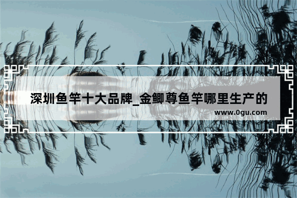 深圳鱼竿十大品牌_金鲫尊鱼竿哪里生产的