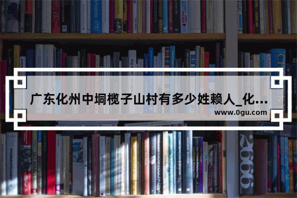 广东化州中垌榄子山村有多少姓赖人_化州星河酒店加盟