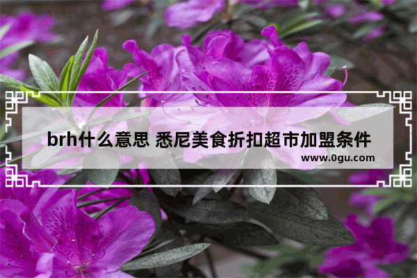 brh什么意思 悉尼美食折扣超市加盟条件