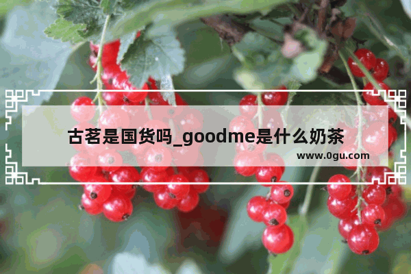 古茗是国货吗_goodme是什么奶茶