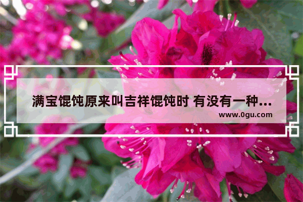 满宝馄饨原来叫吉祥馄饨时 有没有一种是一碗里有3种还是几种馅的来的 叫什么名字来的 记得吃过_先有吉祥馄饨还是先有满宝馄饨