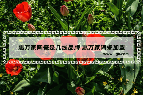 惠万家陶瓷是几线品牌 惠万家陶瓷加盟