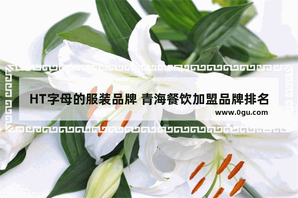 HT字母的服装品牌 青海餐饮加盟品牌排名榜