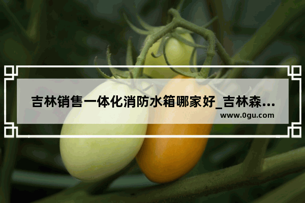 吉林销售一体化消防水箱哪家好_吉林森林消防总队下设哪几个支队