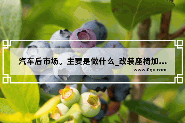汽车后市场。主要是做什么_改装座椅加盟店排行推荐
