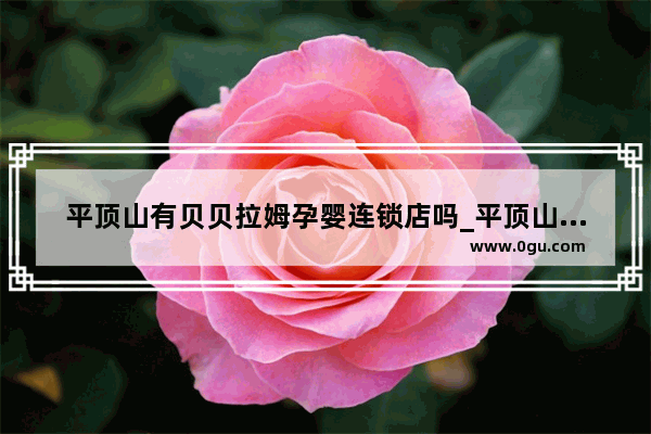 平顶山有贝贝拉姆孕婴连锁店吗_平顶山小吃摆摊加盟店