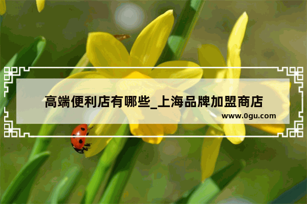 高端便利店有哪些_上海品牌加盟商店