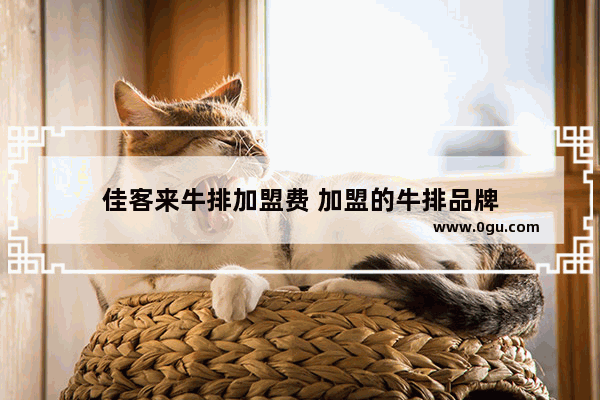 佳客来牛排加盟费 加盟的牛排品牌