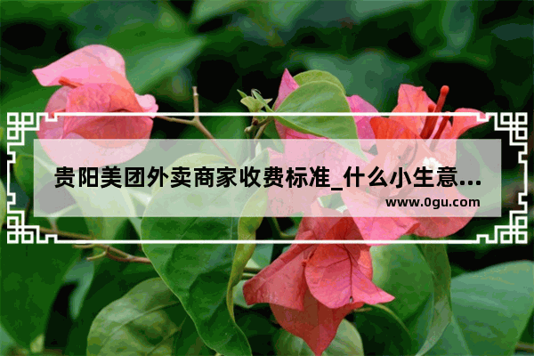 贵阳美团外卖商家收费标准_什么小生意能赚大钱