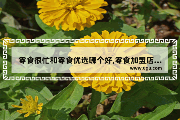 零食很忙和零食优选哪个好,零食加盟店零食优选推荐