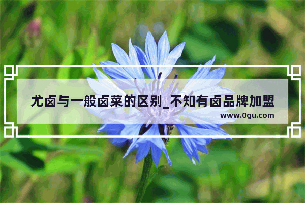 尤卤与一般卤菜的区别_不知有卤品牌加盟