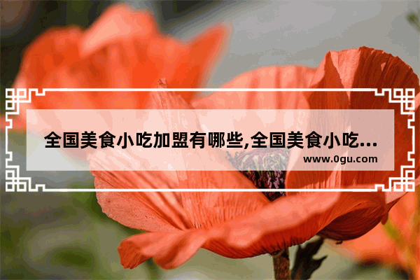 全国美食小吃加盟有哪些,全国美食小吃加盟有哪些