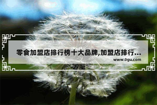 零食加盟店排行榜十大品牌,加盟店排行榜小投入推荐