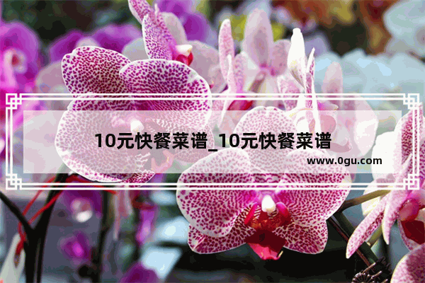 10元快餐菜谱_10元快餐菜谱