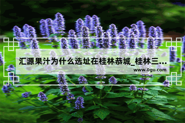 汇源果汁为什么选址在桂林恭城_桂林三花兑什么饮料