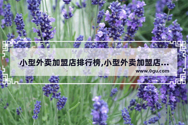 小型外卖加盟店排行榜,小型外卖加盟店排行榜