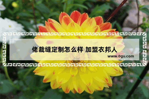 佬裁缝定制怎么样 加盟衣邦人