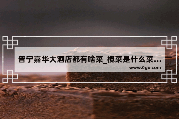 普宁嘉华大酒店都有啥菜_榄菜是什么菜做的