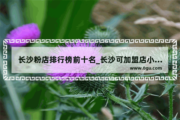 长沙粉店排行榜前十名_长沙可加盟店小吃推荐