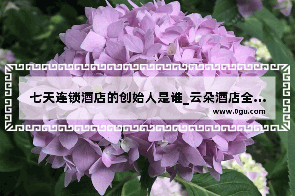 七天连锁酒店的创始人是谁_云朵酒店全国连锁的吗
