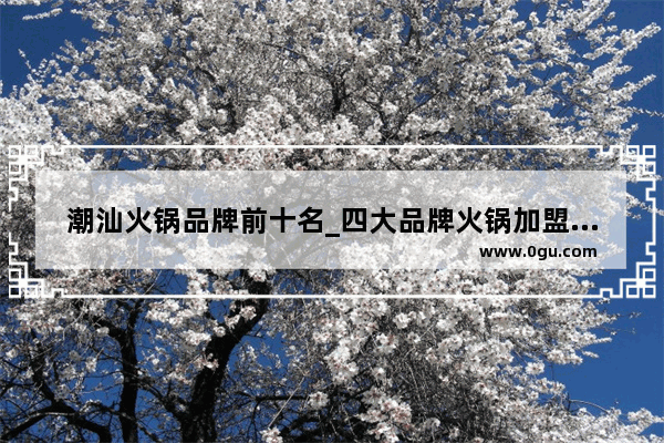 潮汕火锅品牌前十名_四大品牌火锅加盟店排行榜