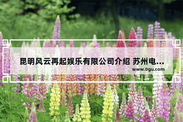 昆明风云再起娱乐有限公司介绍 苏州电玩加盟店排行前十