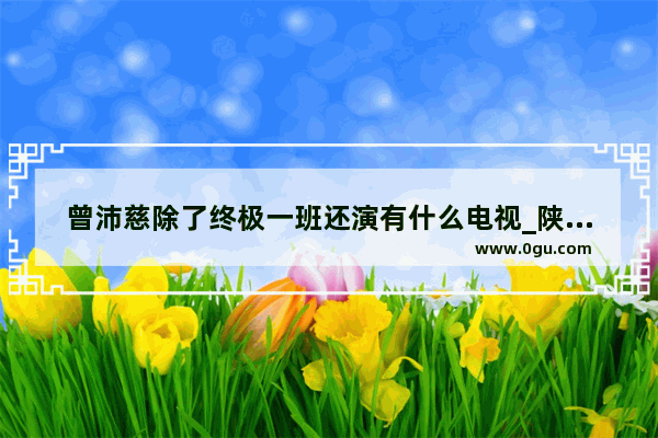 曾沛慈除了终极一班还演有什么电视_陕西新味老长安小吃加盟吗