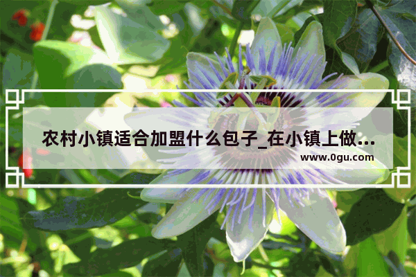 农村小镇适合加盟什么包子_在小镇上做快递有前途么