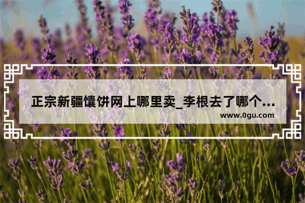 正宗新疆馕饼网上哪里卖_李根去了哪个球队