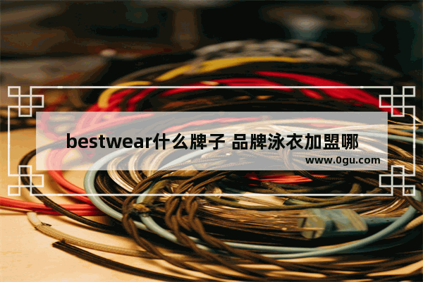 bestwear什么牌子 品牌泳衣加盟哪个品牌好