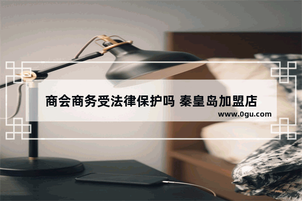 商会商务受法律保护吗 秦皇岛加盟店