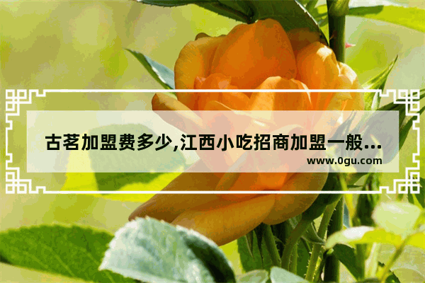 古茗加盟费多少,江西小吃招商加盟一般多少钱