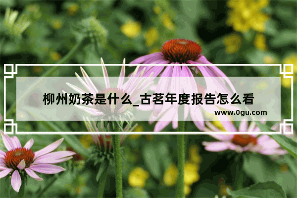 柳州奶茶是什么_古茗年度报告怎么看