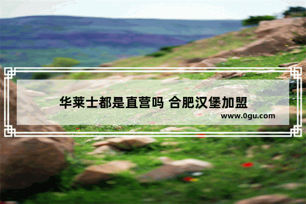 华莱士都是直营吗 合肥汉堡加盟