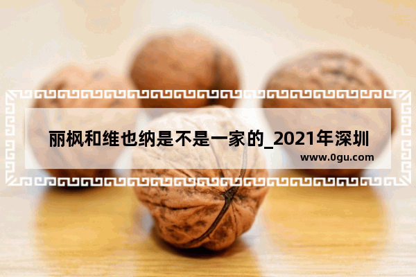 丽枫和维也纳是不是一家的_2021年深圳艺术学校学费