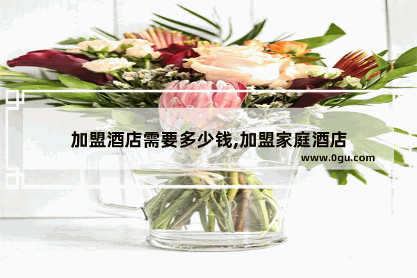 加盟酒店需要多少钱,加盟家庭酒店