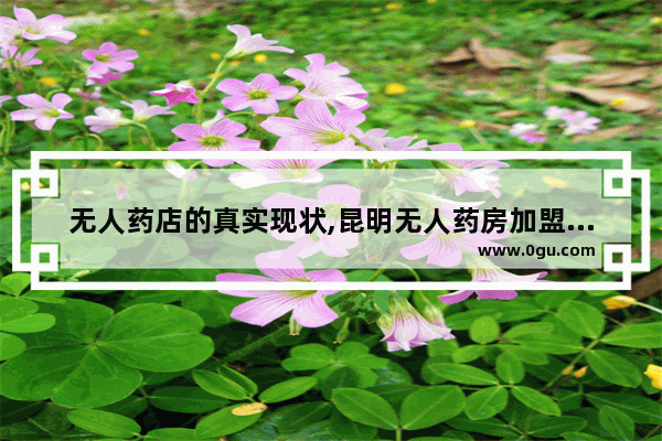 无人药店的真实现状,昆明无人药房加盟店排行榜