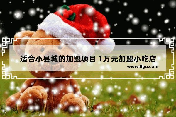适合小县城的加盟项目 1万元加盟小吃店