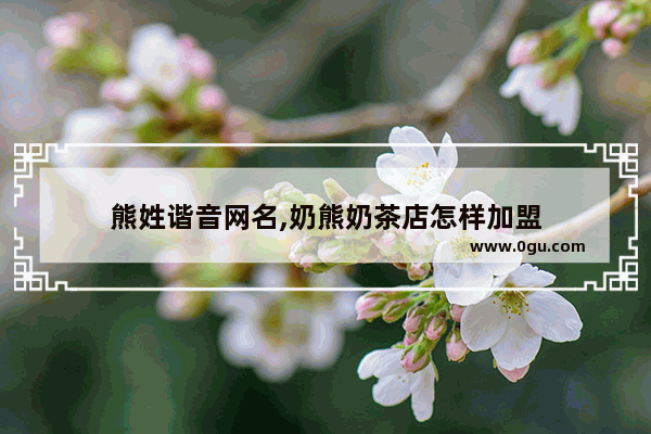 熊姓谐音网名,奶熊奶茶店怎样加盟