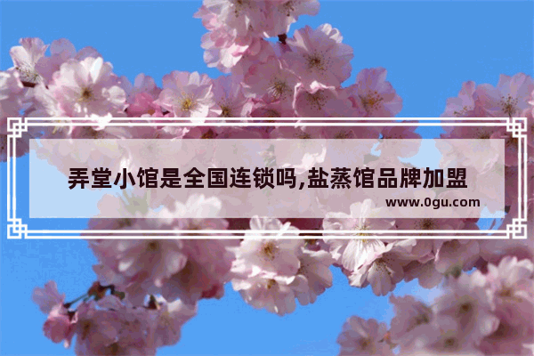 弄堂小馆是全国连锁吗,盐蒸馆品牌加盟