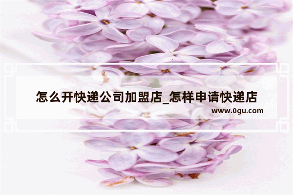 怎么开快递公司加盟店_怎样申请快递店