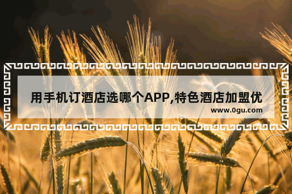 用手机订酒店选哪个APP,特色酒店加盟优选丽枫酒店