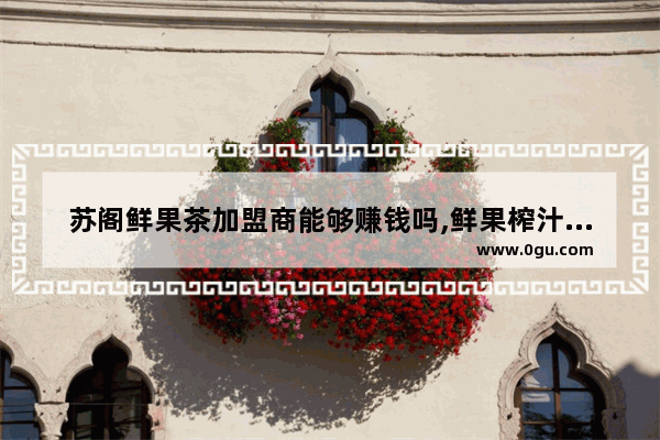 苏阁鲜果茶加盟商能够赚钱吗,鲜果榨汁店加盟