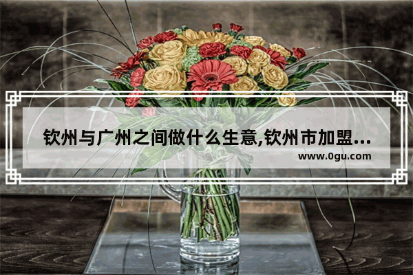 钦州与广州之间做什么生意,钦州市加盟星级酒店多少钱