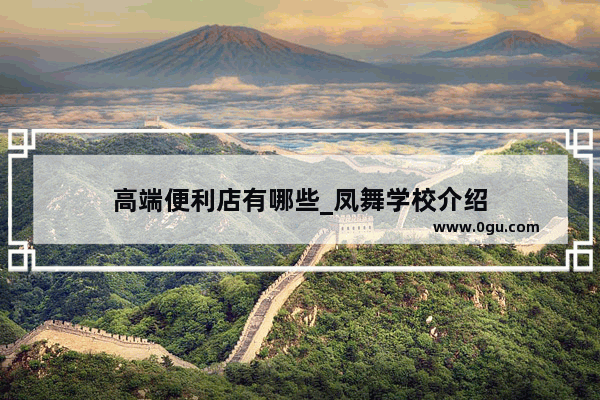 高端便利店有哪些_凤舞学校介绍