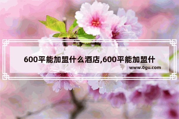 600平能加盟什么酒店,600平能加盟什么酒店