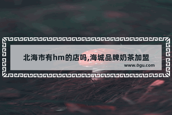 北海市有hm的店吗,海城品牌奶茶加盟