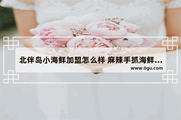 北伴岛小海鲜加盟怎么样 麻辣手抓海鲜加盟