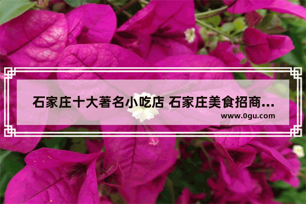 石家庄十大著名小吃店 石家庄美食招商加盟排行