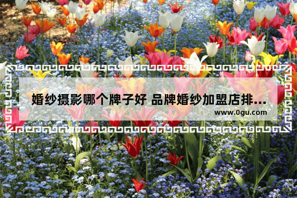 婚纱摄影哪个牌子好 品牌婚纱加盟店排行榜最新
